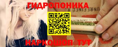 шишки Чебаркуль